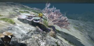 Black Desert Online получила первую порцию улучшений классов, а Pearl Abyss анонсировала грядущий контент
