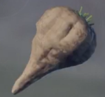Где Взять Лесную Свеклу В Enshrouded - Screenshot 2024 01 27 203107