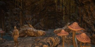 Embers Adrift подводит итоги и открывает ивент Summer Celebration распродажей с 50% скидкой