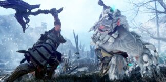 Black Desert Console