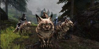 Guild Wars 2: Janthir Wilds выходит сегодня, добавляя жилье для игроков, новые карты, улучшенный варклав и копье Кодана Guild Wars 2