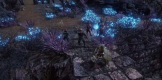 Fractured Online